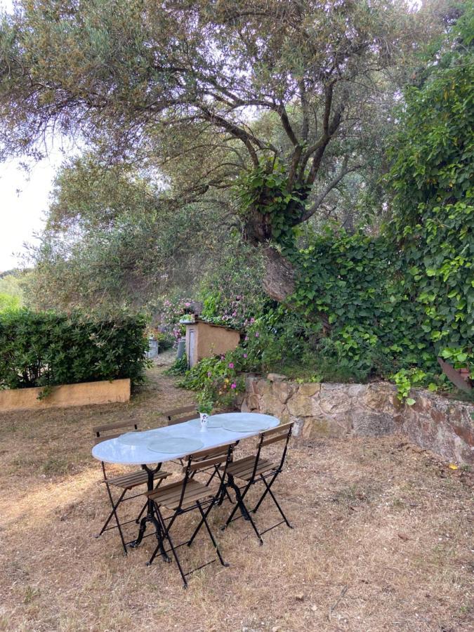 Seaview Garden Villa LʼÎle-Rousse 외부 사진